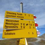 Wegweiser auf dem Strelapass 2346 m.ü.M.
