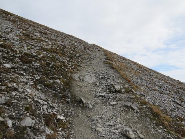 der Bergweg führt zuerst alles geradeaus aufwärts...