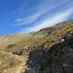 die Alpstrasse wird nun ein Wanderweg in endlosen Schlaufen gewinnen wir langsam weiterhin an Höhe