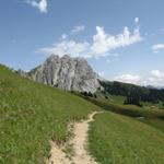 Wanderung Gstaad - Grubenberghütte - Jaun 3.8.2013