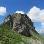 Wanderung Adelboden - Hahnenmoospass  - Regenboldshorn 10.8.2013