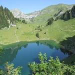 Wanderung Walopsee 19.7.2014