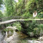 Wanderung Intragna - Monte di Comino - Camedo 3.9.2014