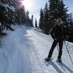 immer wieder quert der Schneeschuhweg die präparierte Strasse, die auf die Alp Flix führt