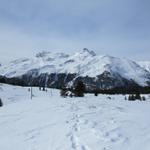 Blick zurück und zum Piz Arblatsch