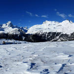 sehr schönes Breitbildfoto der Alp Flix
