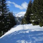 auf dem Schneeschuhtrail Richtung Sur