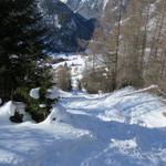 auf dem Schneeschuhtrail Richtung Sur