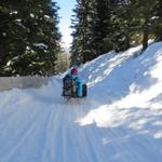 Mäusi kennt da gar nichts. In rasantem Tempo fährt Sie ins Tal hinunter