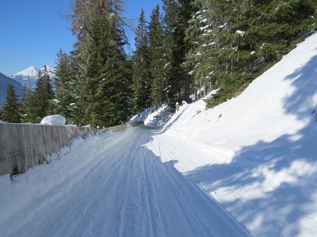 so eine gut präparierte Piste haben wir noch nie gesehen