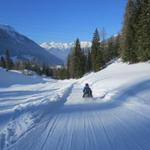 die Schlittelpiste durchquert in Tunnels und Brücken mehrmals die Rhätische Bahn