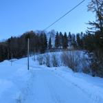 auf der schneebedeckten Strasse laufen wir hinauf nach Langenberg