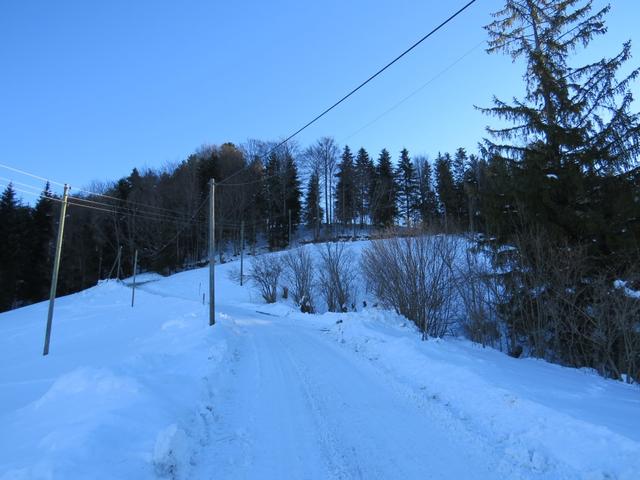 auf der schneebedeckten Strasse laufen wir hinauf nach Langenberg