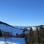 die Aussicht wird immer schöner