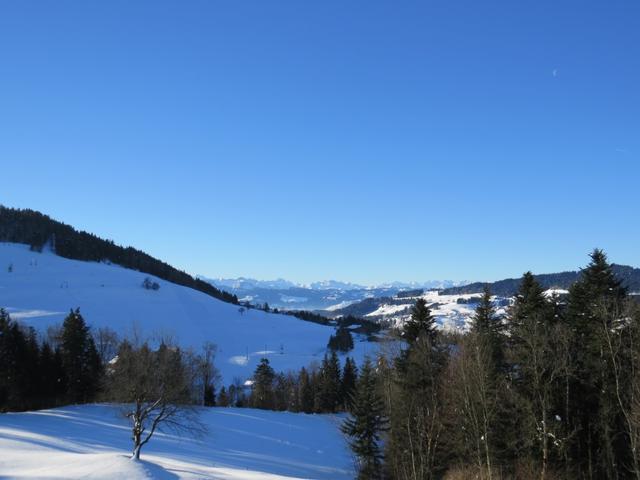 die Aussicht wird immer schöner