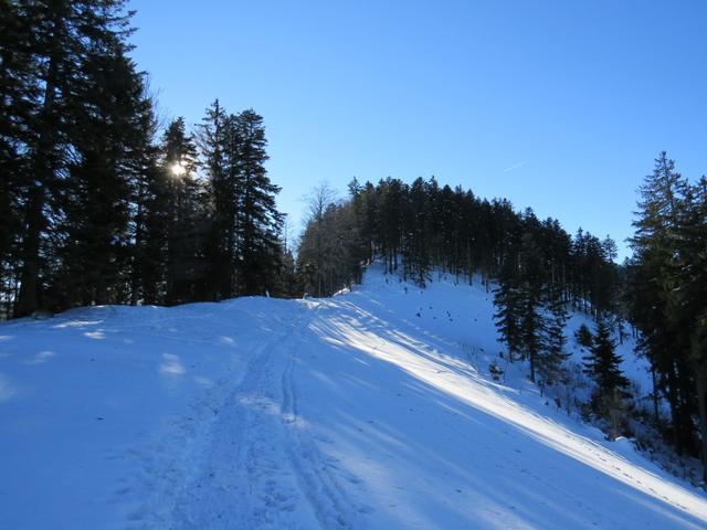 weiter geht es Richtung Punkt 1098 m.ü.M.