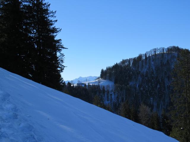 kurz vor dem Hüttchopf, mit Blick Richtung Überzütt