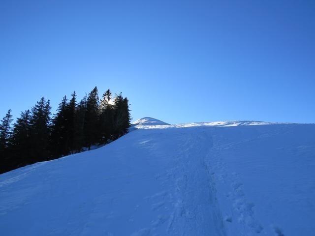 Blick hinauf zum Hüttchopf