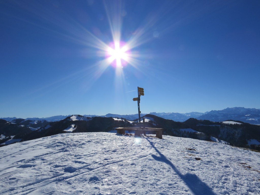 wir haben den runden Buckel vom Hüttchopf 1232 m.ü.M. erreicht