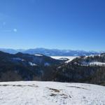 Blick in die Linthebene und zu den Glarneralpen