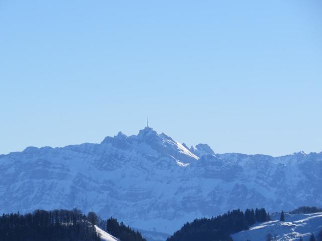 Blick zum Säntis. Dort oben waren wir auch schon