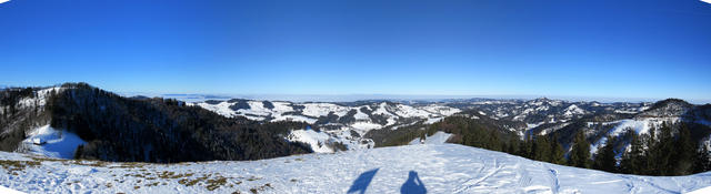 sehr schönes Breitbildfoto mit Blick Richtung Bodensee