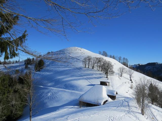 Blick zurück zum Hüttchopf