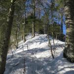 die Tösstaler Haute Route ist wirklich empfehlenswert