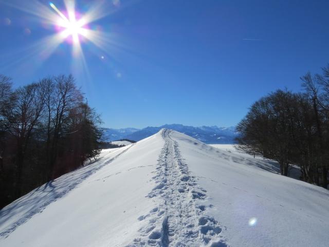 der Schnee, das Wetter einfach perfekt