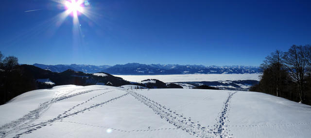 super schönes Breitbildfoto bei Punkt 1239 m.ü.M. aufgenommen