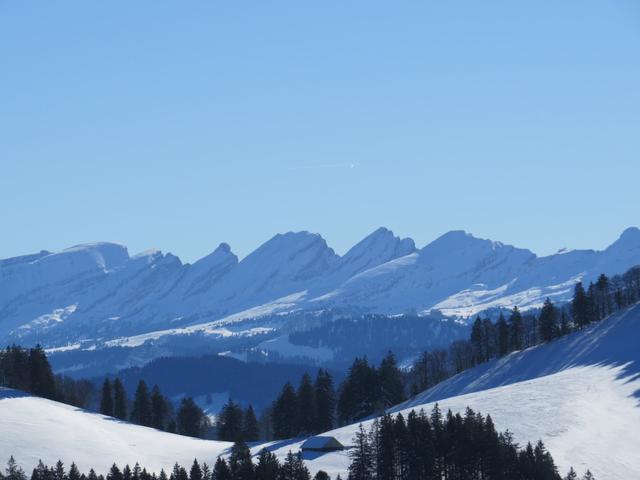 Blick zu den Churfirsten. Dort oben waren wir auch schon