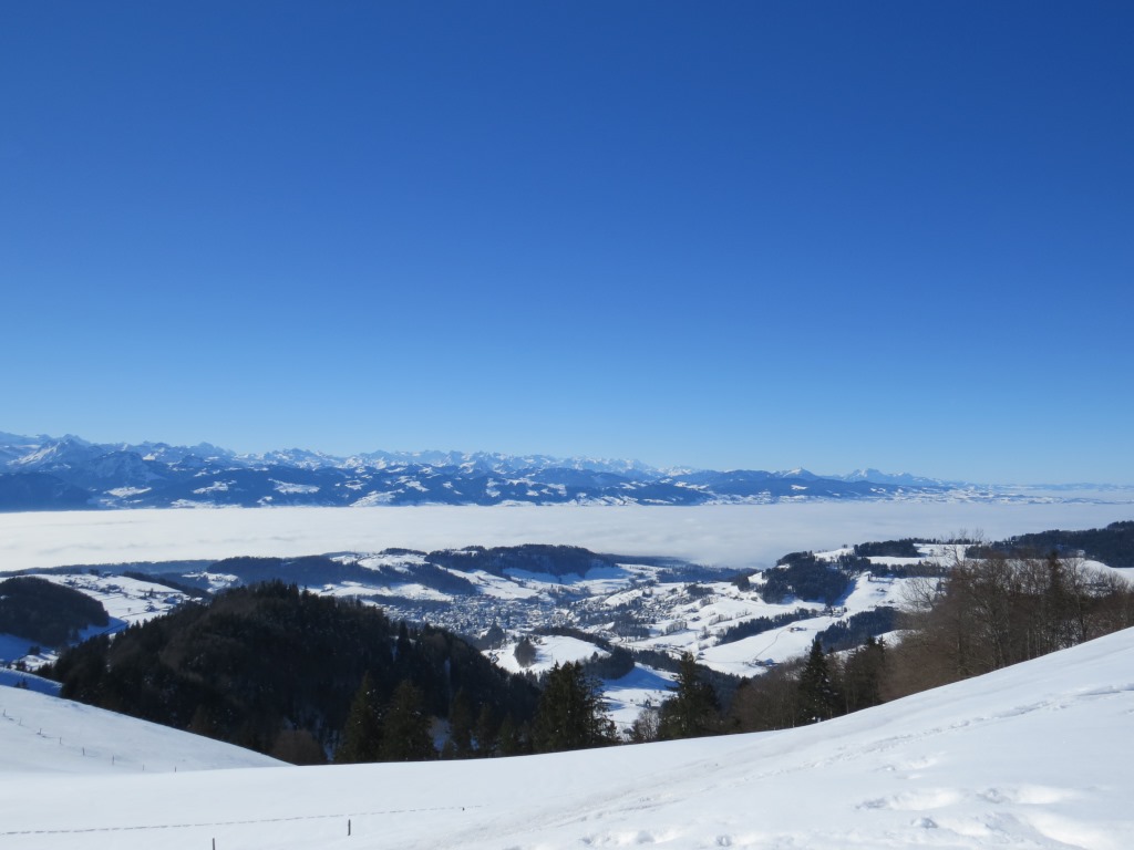 Blick zum Zürichsee der unter einer dicken Nebeldecke zugedeckt ist