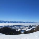 Blick zum Zürichsee der unter einer dicken Nebeldecke zugedeckt ist