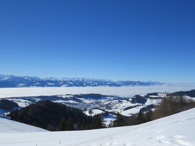 Blick zum Zürichsee der unter einer dicken Nebeldecke zugedeckt ist