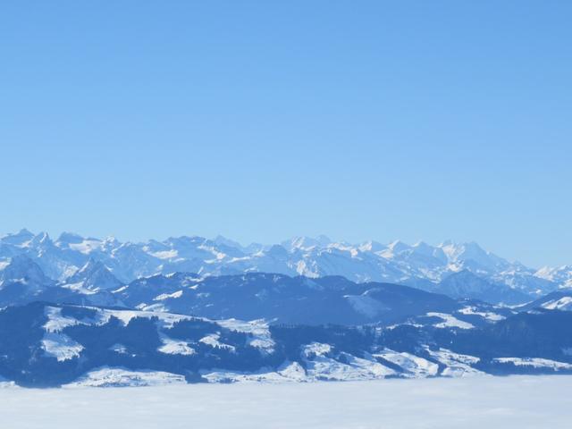 Blick in die Berner Hochalpen