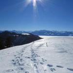 kurz nach dem Gasthaus Alp-Scheidegg erreichen wir den Hügel auf Punkt 1170 m.ü.M.