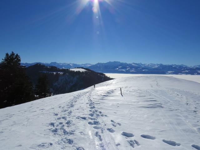 kurz nach dem Gasthaus Alp-Scheidegg erreichen wir den Hügel auf Punkt 1170 m.ü.M.