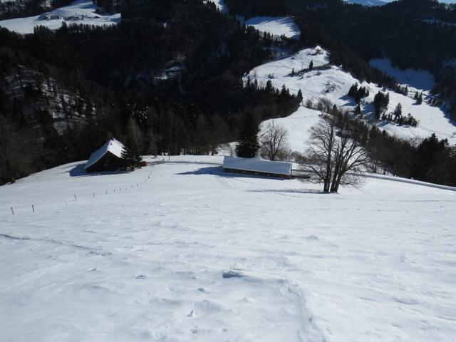 von hier aus, geht es sehr steil abwärts zu den Alphäuser von Unter Scheidegg