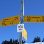 Wegweiser auf der Undere Boalp 1086 m.ü.M.