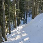 der Schneeschuhtrail führt uns nun wieder abwärts in Tobel und zur Quelle der vordere Töss