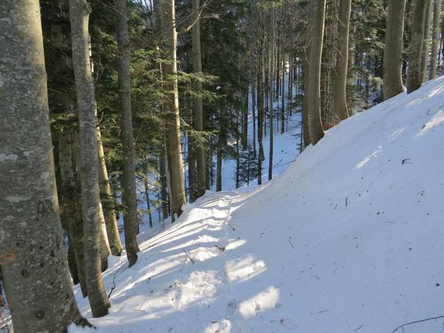 der Schneeschuhtrail führt uns nun wieder abwärts in Tobel und zur Quelle der vordere Töss