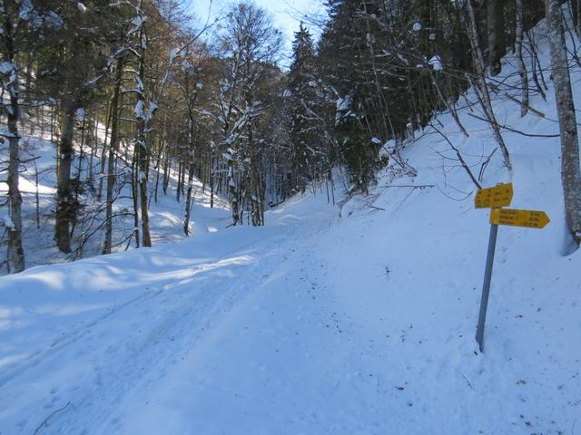 bei Punkt 1035 m.ü.M. haben wir den Tobel und die vordere Töss erreicht