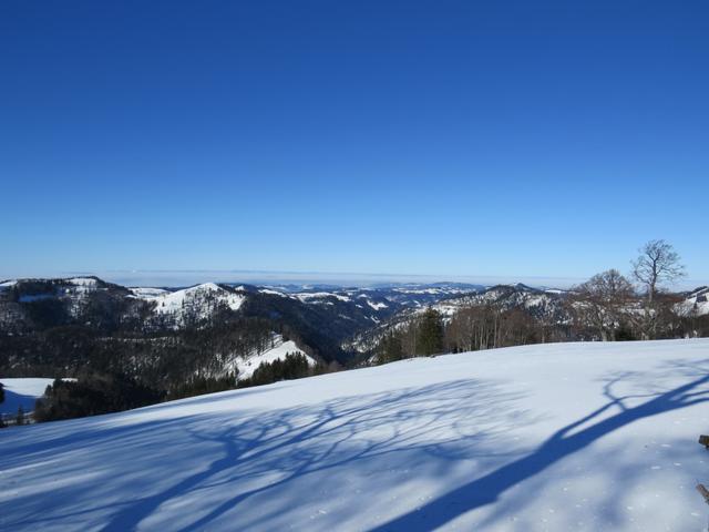 schöner Ausblick ins Zürcher Unterland