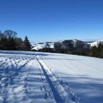 auf dem Weg zu den Alpweiden der Obere Boalp