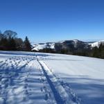 auf dem Weg zu den Alpweiden der Obere Boalp