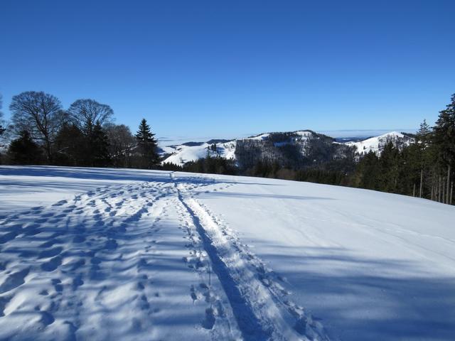 auf dem Weg zu den Alpweiden der Obere Boalp