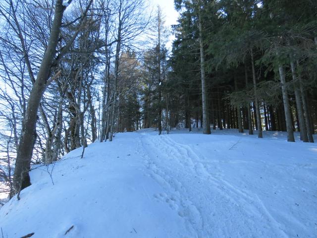 bei Punkt 1293 m.ü.M. kurz vor dem "Gipfel" des Schwarzenberg