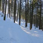 am Nordhang des Guntliberg vorbei, geht es Richtung Farner