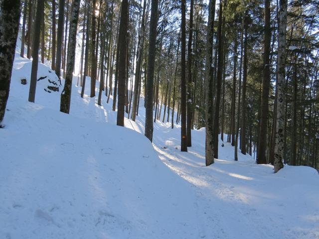 am Nordhang des Guntliberg vorbei, geht es Richtung Farner