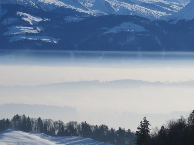 Blick in das Linthtal das unter einer Nebeldecke liegt